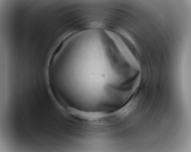 X0000089711434200707201751