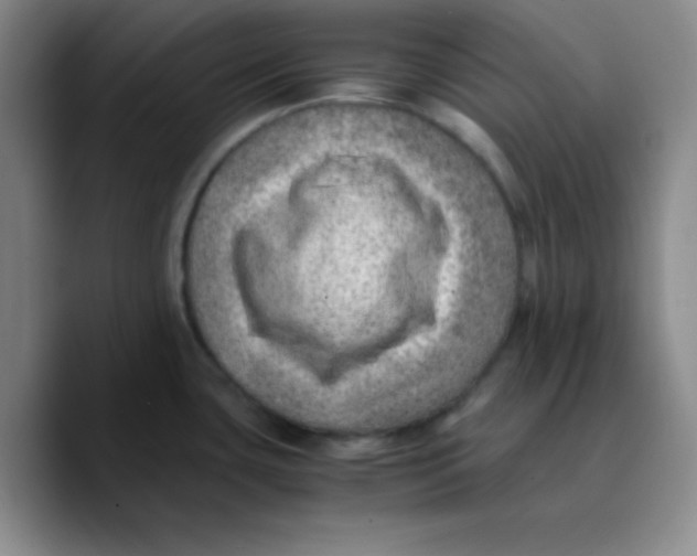 X0000089711435200707201751