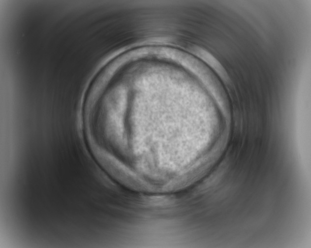 X0000089711436200707201751