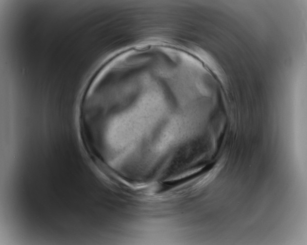 X0000089711438200707201752