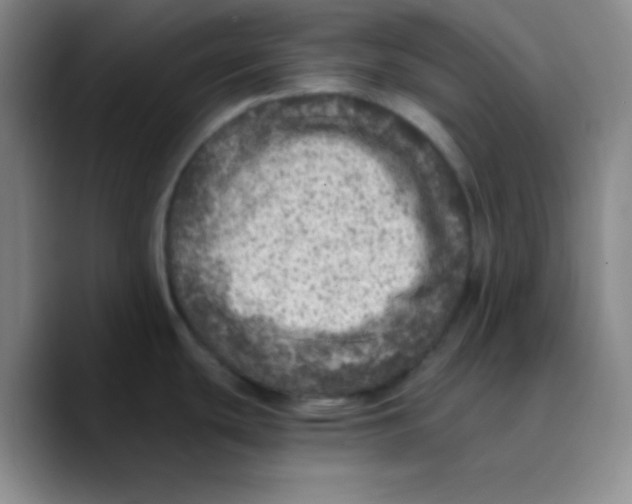 X0000089711439200707201752