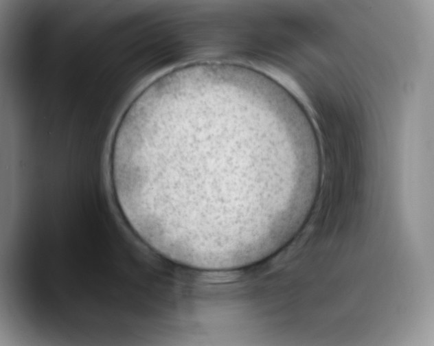 X0000089711440200707201752