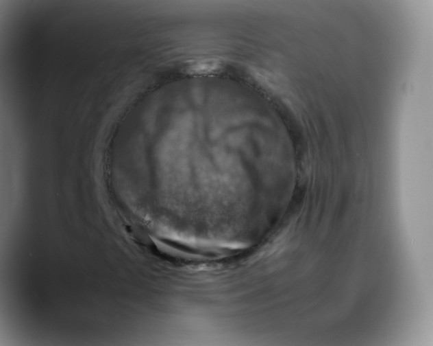 X0000089711441200707201751