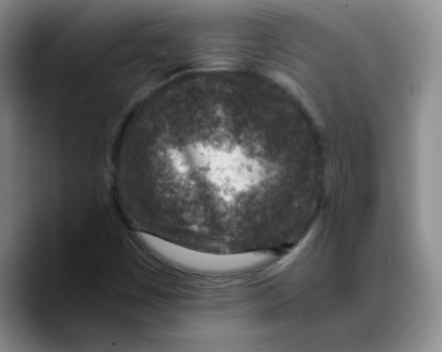 X0000089711449200707201751