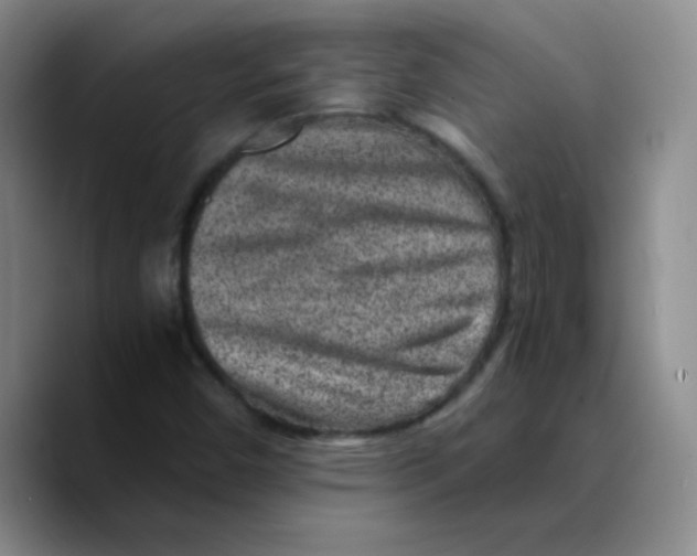 X0000089711450200707201751