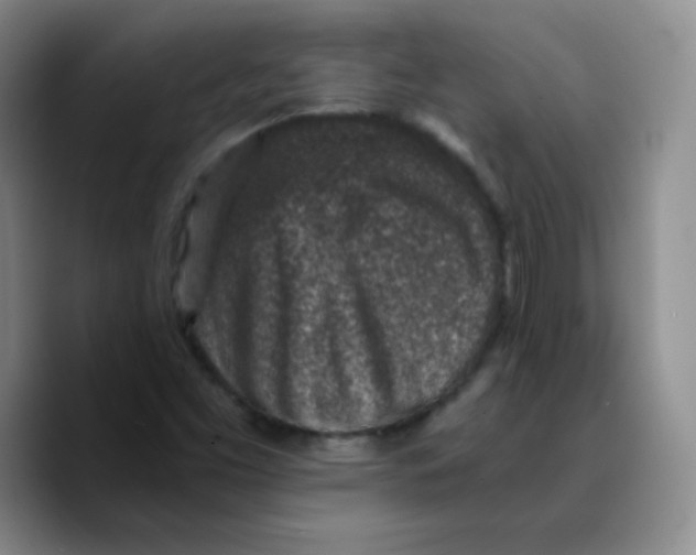 X0000089711453200707201751