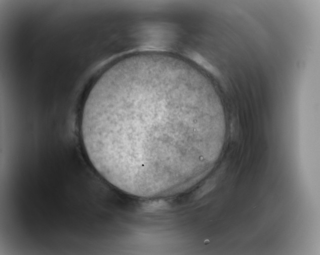 X0000089711454200707201751