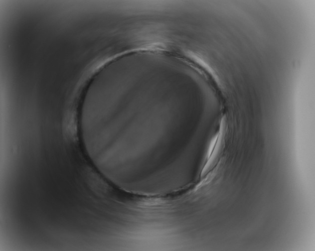 X0000089711455200707201751