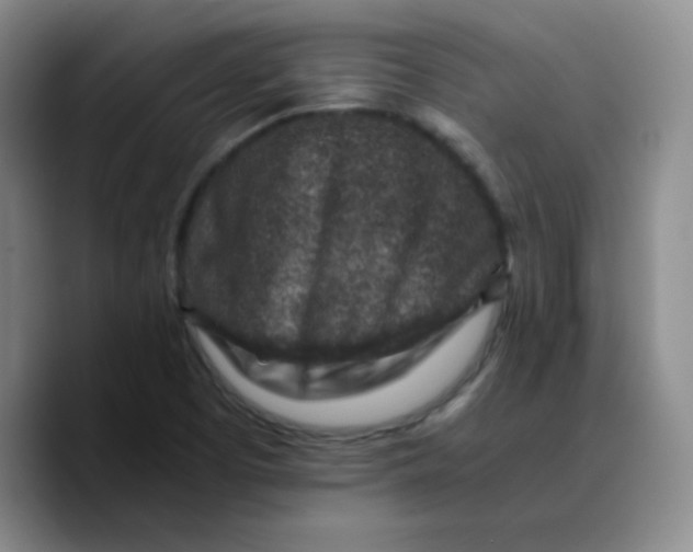 X0000089711457200707201751