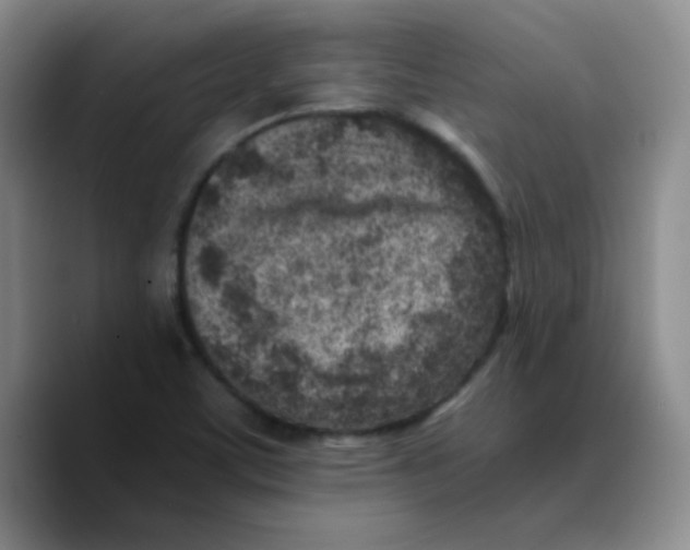 X0000089711459200707201751