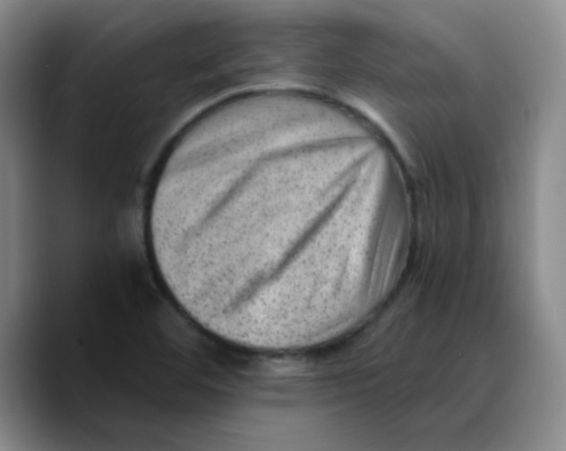 X0000089711460200707201751