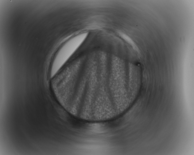 X0000089711461200707201751