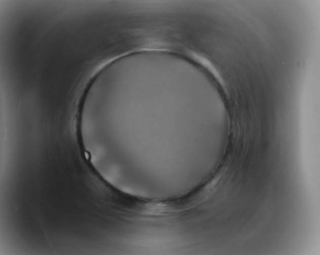 X0000089711463200707201751