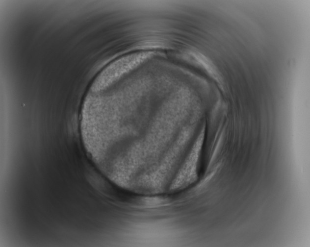 X0000089711465200707201751