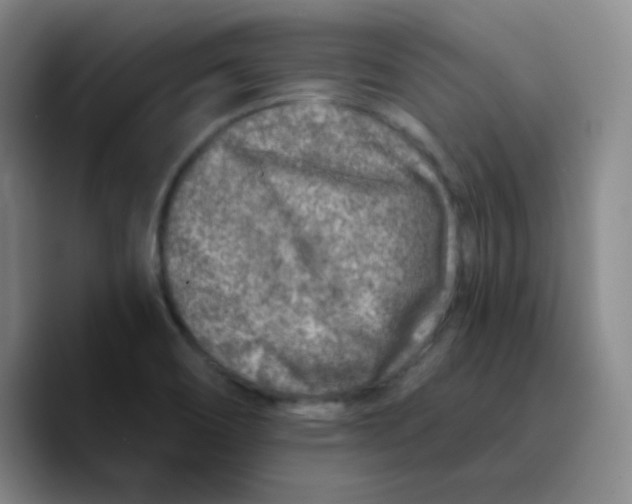 X0000089711466200707201751