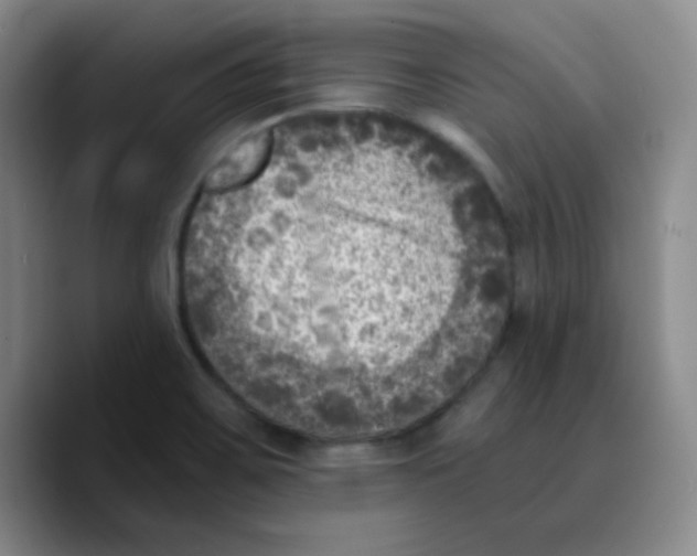 X0000089711467200707201751