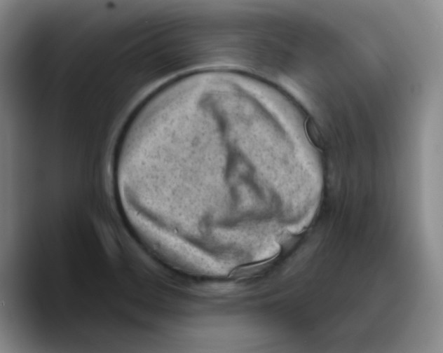 X0000089711468200707201751