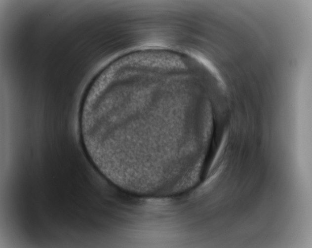 X0000089711469200707201751