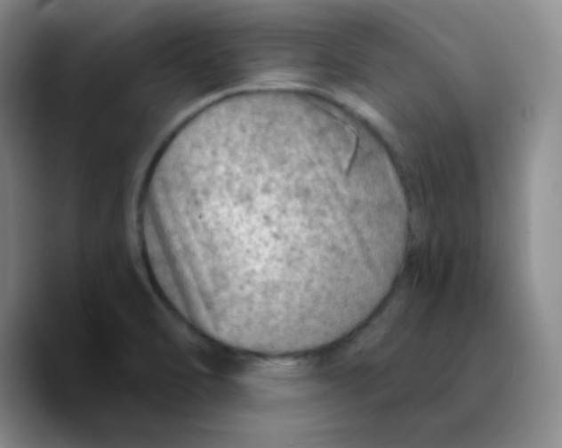 X0000089711470200707201751