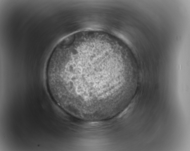 X0000089711471200707201751