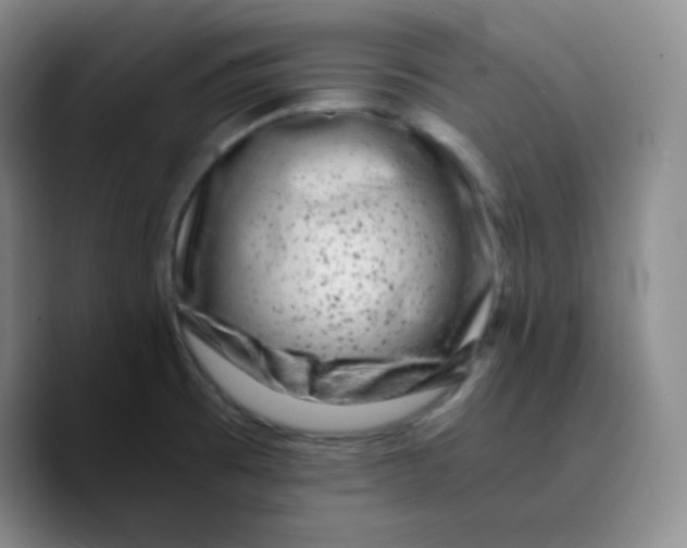 X0000089711473200707201750