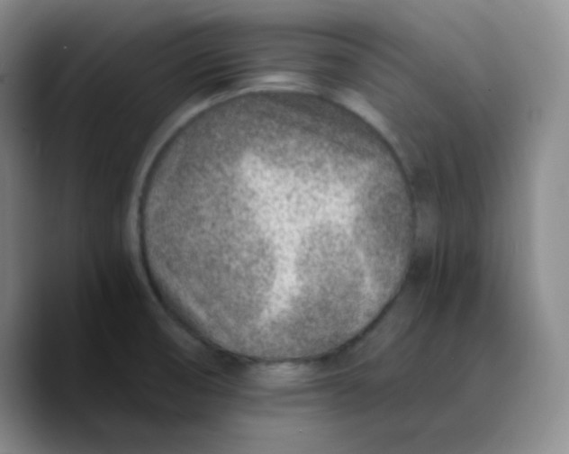 X0000089711474200707201750