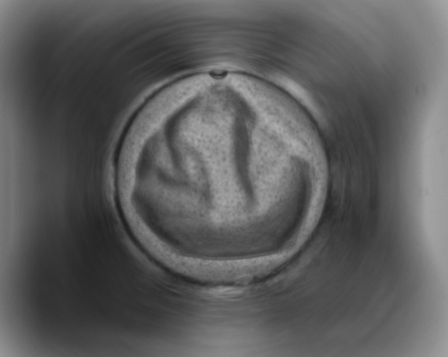 X0000089711476200707201750