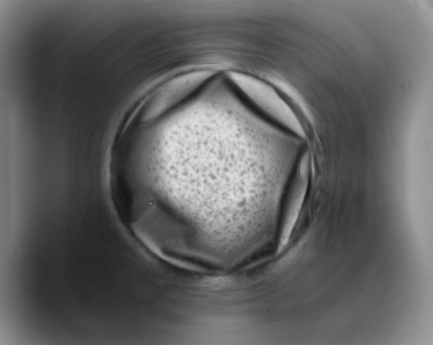 X0000089711477200707201750