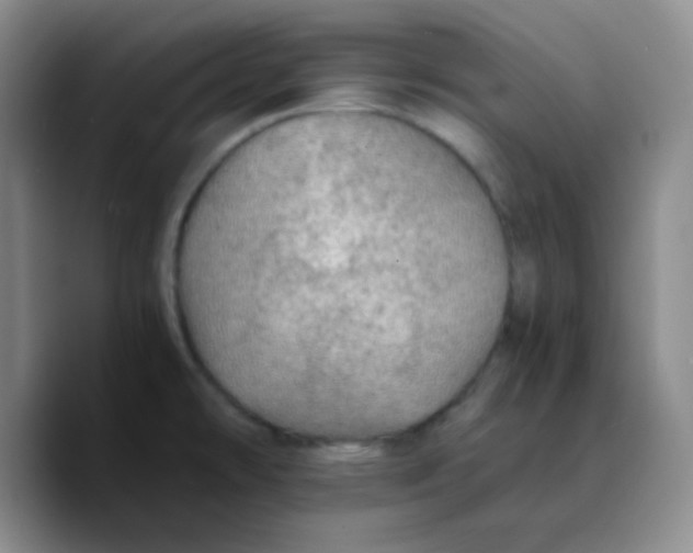 X0000089711478200707201750