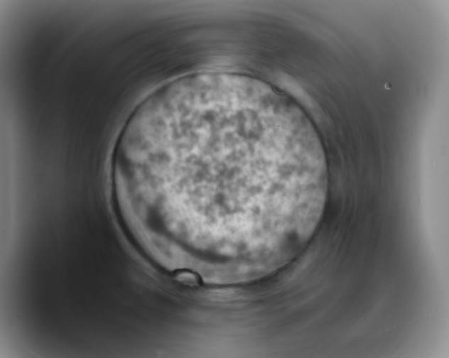 X0000089711479200707201750