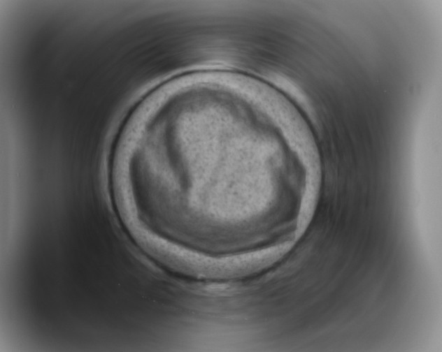 X0000089711480200707201750