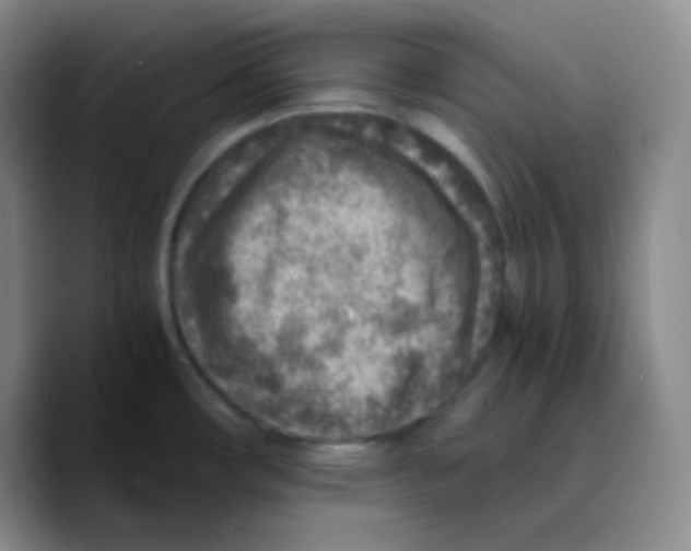 X0000089711482200707201750