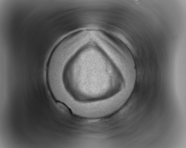 X0000089711484200707201750