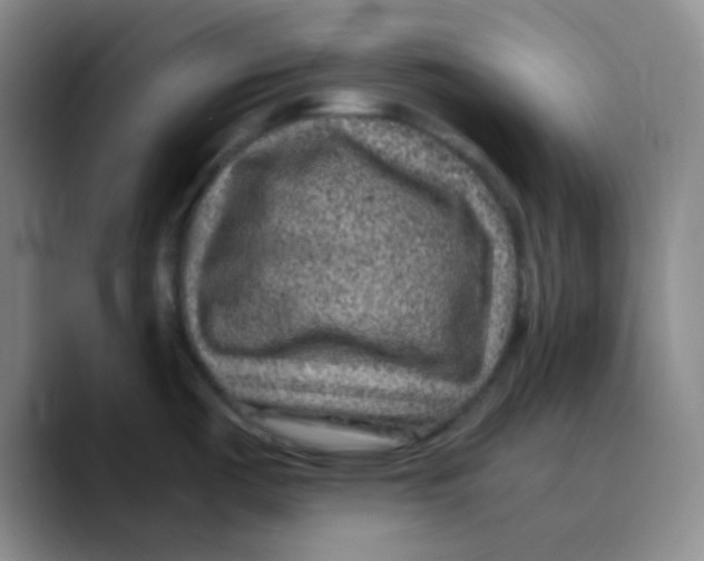 X0000089711487200707201750