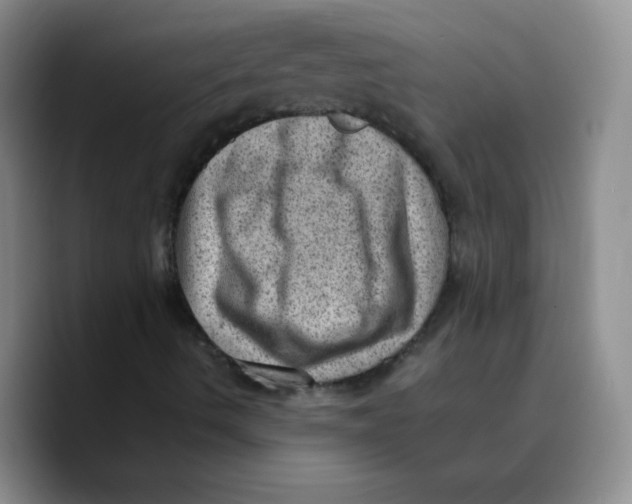 X0000089711490200707201750