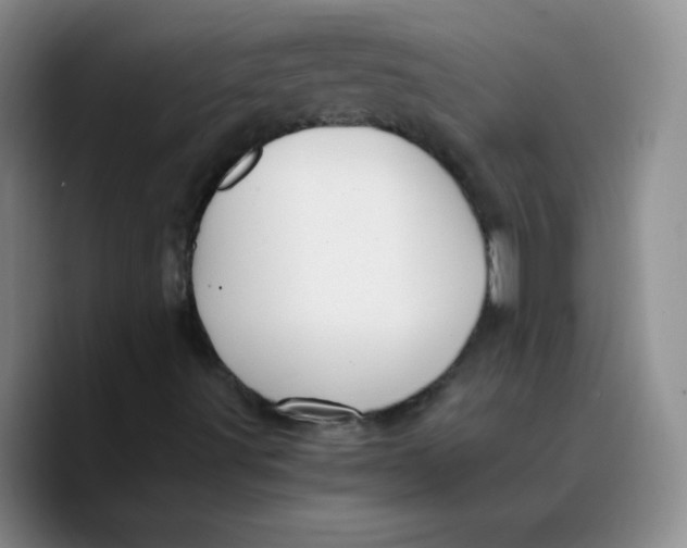 X0000089711491200707201750