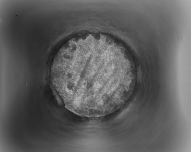 X0000089711494200707201750