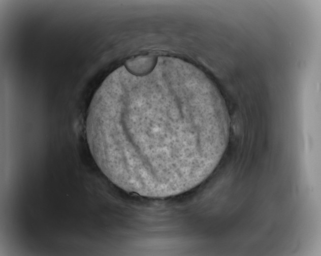 X0000089711495200707201750