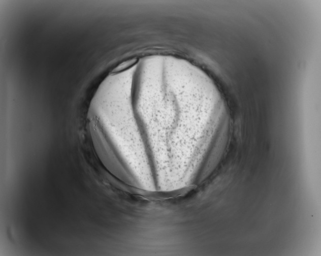 X0000089711496200707201750