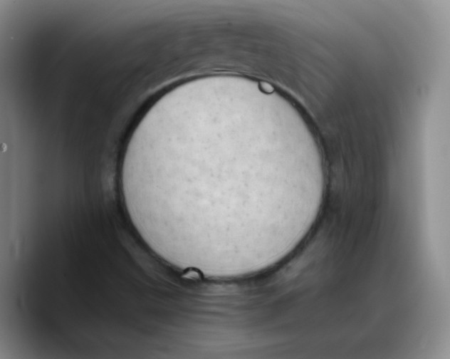 X0000089711499200707201750