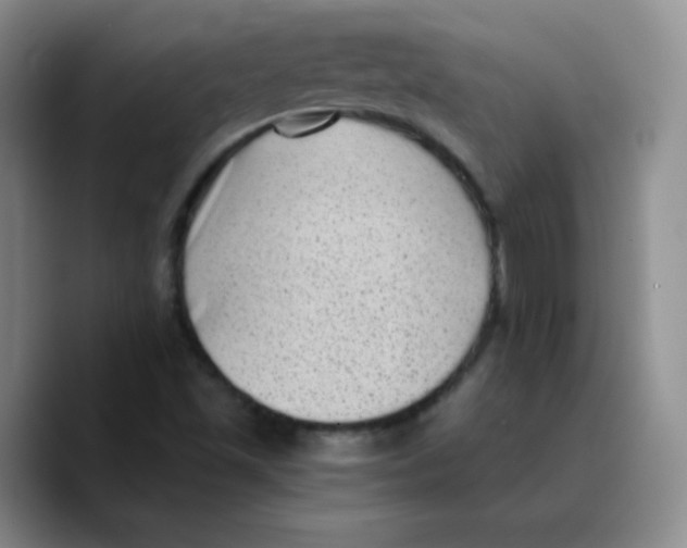 X0000089711501200707201750