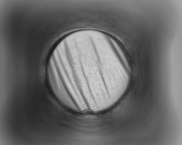 X0000089711503200707201750