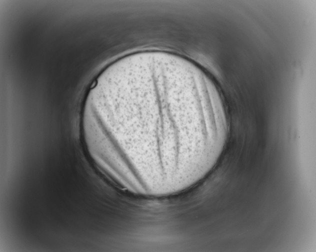 X0000089711504200707201750