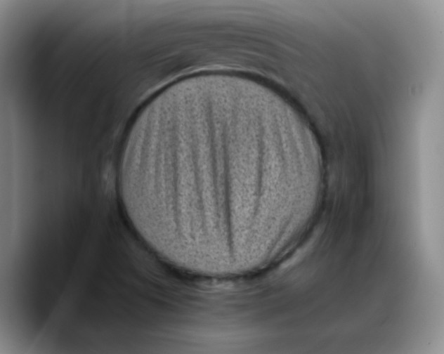 X0000089711505200707201750