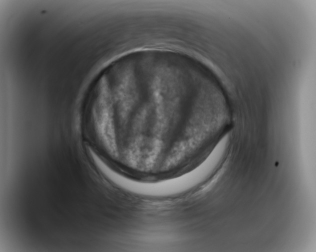 X0000089711506200707201750