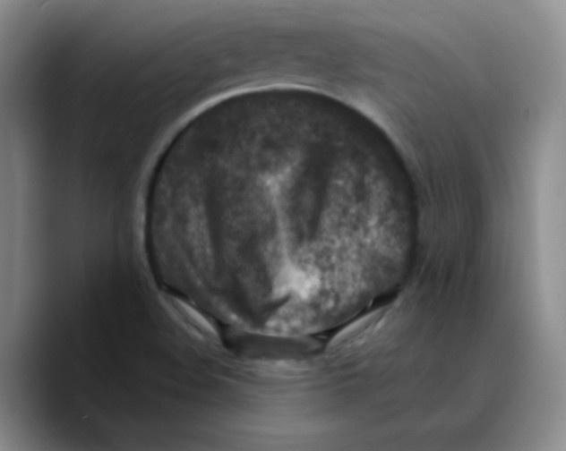 X0000089711508200707201750