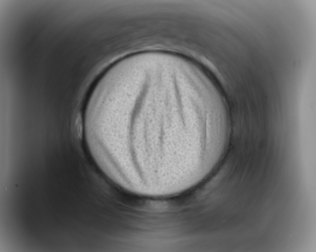 X0000089711509200707201750