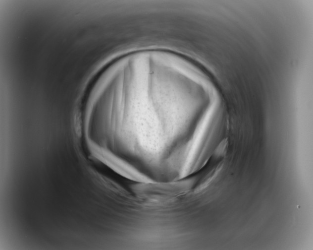 X0000089711510200707201750