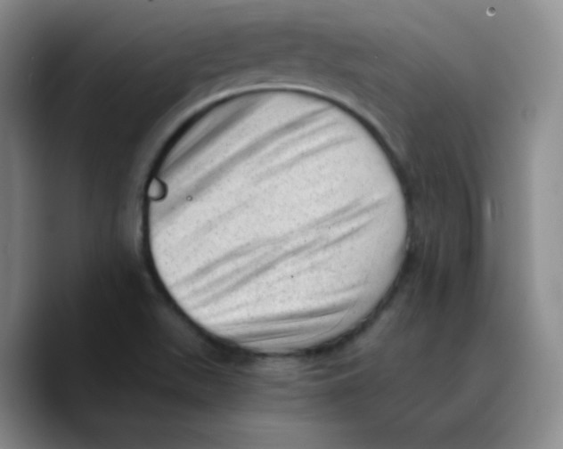 X0000089711511200707201750