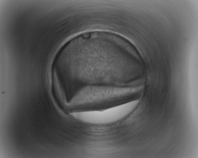 X0000089711515200707201750